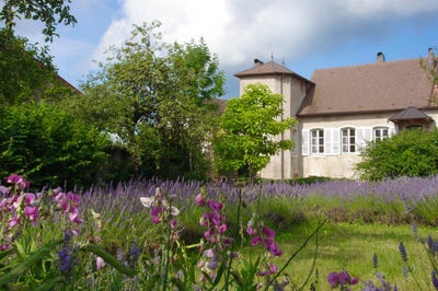 /international/fr/lons-le-saunier-franche-comte-310101445703/?lang=it