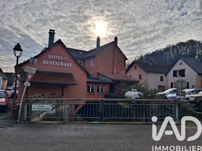 /international/fr/bourbach-le-bas-alsace-310108725582/