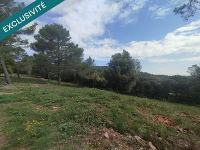 /international/fr/carnoules-provence-alpes-cote-d-azur-310106547196/
