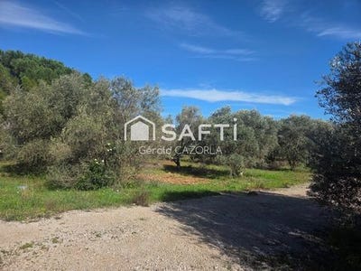 /international/fr/ceyras-languedoc-roussillon-310106335239/