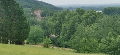 /international/fr/piquecos-midi-pyrenees-310109095098/