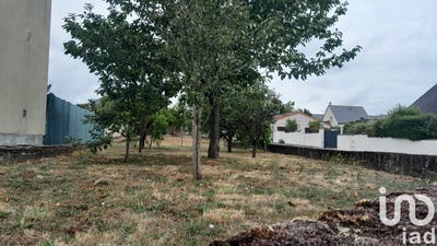 /international/fr/montreuil-bellay-pays-de-la-loire-310101107506/