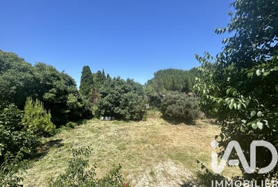 /international/fr/caux-limousin-310107641942/