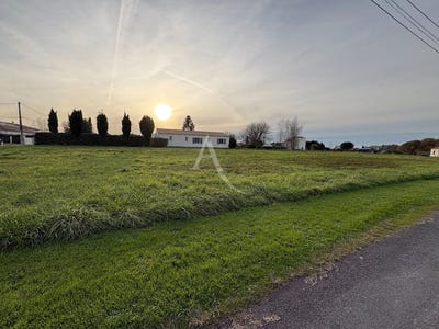 /international/fr/bois-ile-de-france-310104866151/