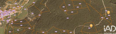 /international/fr/chatillon-en-diois-rhone-310106686367/