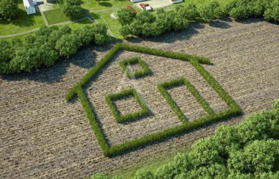 /international/fr/le-fenouiller-pays-de-la-loire-310104467497/