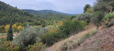/international/fr/corbieres-en-provence-provence-alpes-cote-d-azur-310108213416/