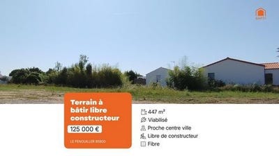 /international/fr/le-fenouiller-pays-de-la-loire-310106286421/
