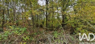 /international/fr/bourgnac-aquitaine-310107175478/