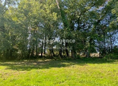 /international/fr/saint-astier-aquitaine-310109459929/