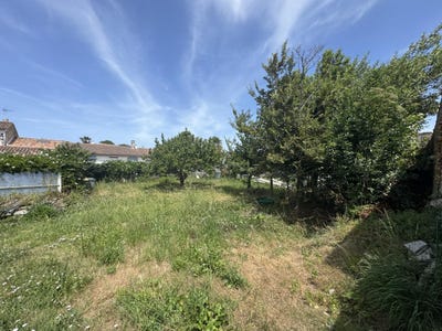 /international/fr/saint-martin-de-re-charente-310100788920/