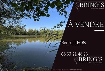 /international/fr/berus-pays-de-la-loire-310101247966/