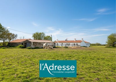 /international/fr/saint-urbain-pays-de-la-loire-310107360616/