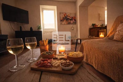 /international/fr/saint-marcel-de-careiret-languedoc-roussillon-310105792317/