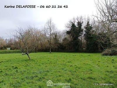 /international/fr/nesmy-pays-de-la-loire-120097553999/