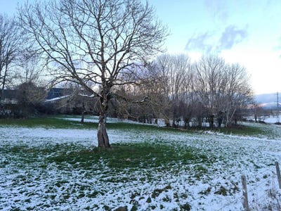 /international/fr/rochefort-montagne-auvergne-310103733073/