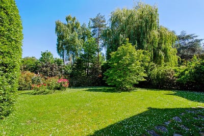 /international/fr/sevres-centre-val-de-loire-310108487366/
