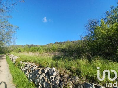 /international/fr/bedarieux-languedoc-roussillon-310107491499/
