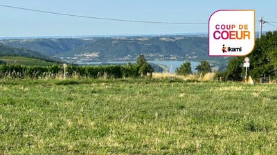 /international/fr/vion-pays-de-la-loire-120096228852/?lang=de