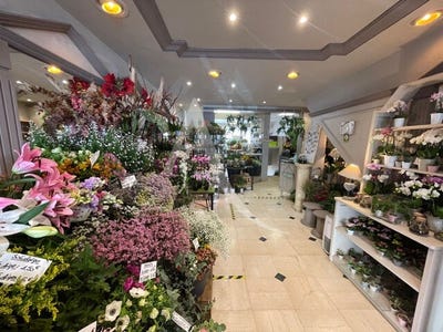 /international/fr/fontenay-sous-bois-ile-de-france-310104466104/