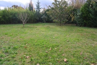 /international/fr/saint-remy-de-provence-provence-alpes-cote-d-azur-310110357698/