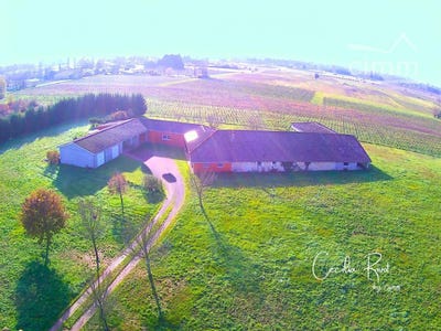 /international/fr/saint-christoly-de-blaye-aquitaine-310106596158/