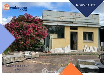/international/fr/champtoce-sur-loire-pays-de-la-loire-310100498775/