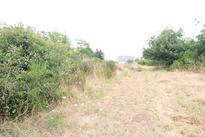 /international/fr/saint-lyphard-pays-de-la-loire-310101203981/