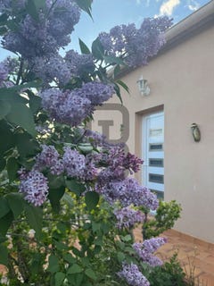 /international/fr/limoux-languedoc-roussillon-310108652443/?lang=th