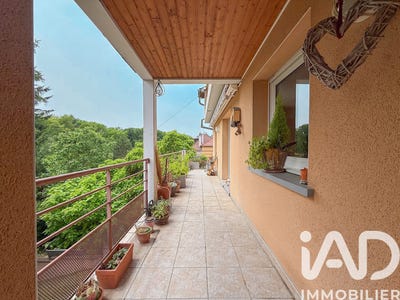 /international/fr/haguenau-alsace-310105070976/
