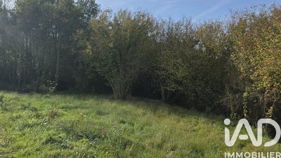 /international/fr/vieux-vy-sur-couesnon-brittany-310106739113/