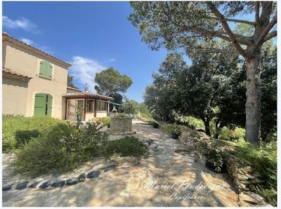 /international/fr/uchaux-provence-alpes-cote-d-azur-310099348435/