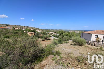 /international/fr/fitou-languedoc-roussillon-310101283038/