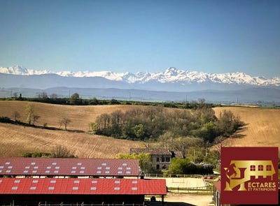 /international/fr/gaillac-toulza-midi-pyrenees-310107650310/