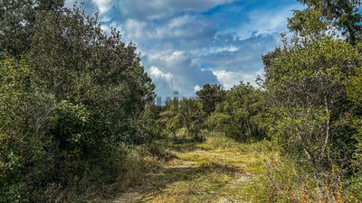 /international/fr/collias-languedoc-roussillon-310107008275/
