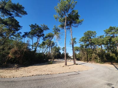 /international/fr/saint-jean-de-monts-pays-de-la-loire-310104468351/