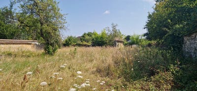 /international/fr/thomery-ile-de-france-310103667081/