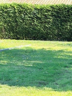 /international/fr/saint-loubes-aquitaine-310106832768/
