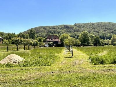 /international/fr/balaguier-d-olt-midi-pyrenees-310107413749/