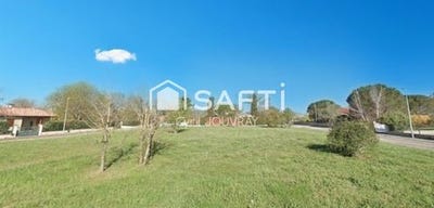 /international/fr/montauban-midi-pyrenees-310108869122/