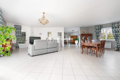 /international/fr/albi-midi-pyrenees-310106596026/