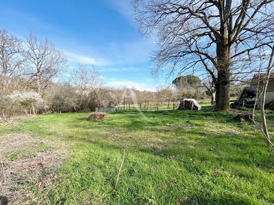 /international/fr/daux-midi-pyrenees-310106132235/