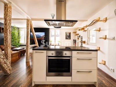 /international/fr/ribeauville-alsace-310109096332/
