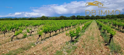 /international/fr/sainte-cecile-les-vignes-provence-alpes-cote-d-azur-310108954178/