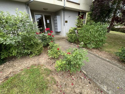 /international/fr/brumath-alsace-310108763237/?lang=de