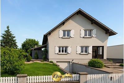 /international/fr/petit-landau-alsace-310105812350/
