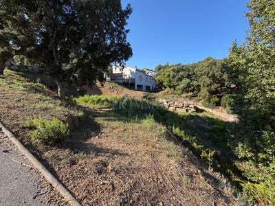 /international/fr/frejus-provence-alpes-cote-d-azur-310120032359/