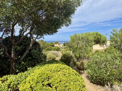 /international/fr/lumio-corsica-310106943713/