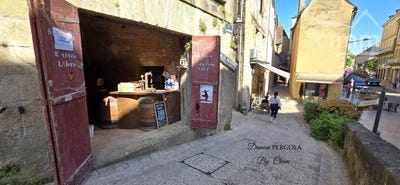 /international/fr/sarlat-la-caneda-aquitaine-310108330565/