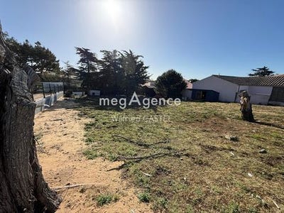 /international/fr/bretignolles-sur-mer-pays-de-la-loire-310106335384/